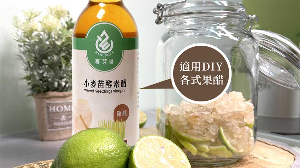 麥芽哥 Myounge:適用DIY各式果醋 麥芽哥 Myounge:適用DIY各式果醋